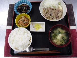 syokujisyasinn