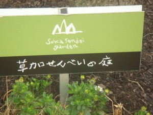 せんべい屋さんの写真
