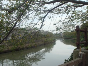 公園の川の写真