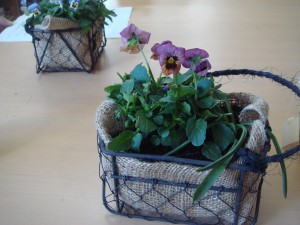 ハンギングバスケットの出来上がった作品の写真