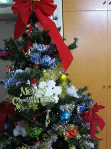クリスマスツリーの写真